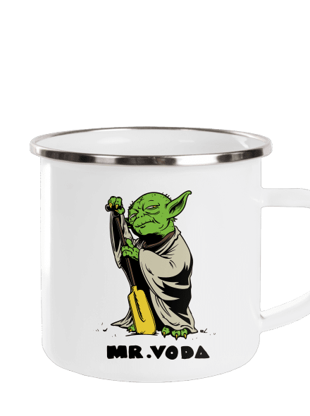 Mr. Voda