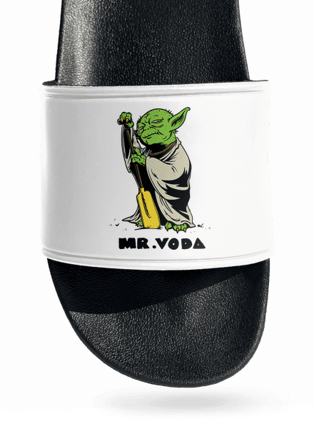 Mr. Voda