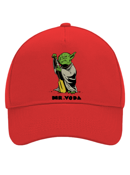 Mr. Voda