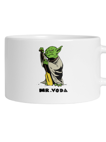 Mr. Voda