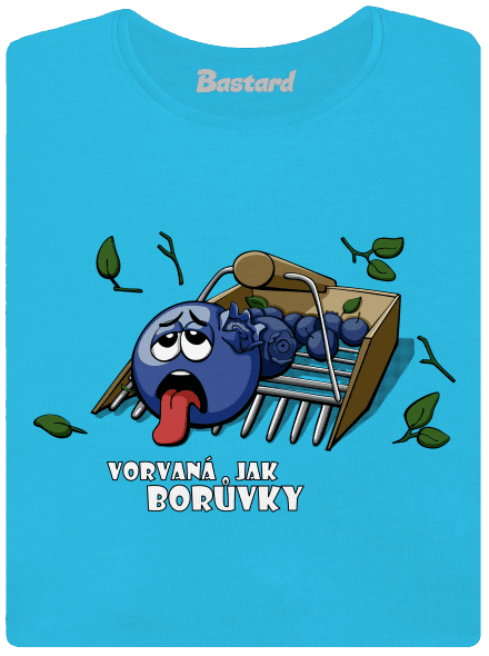 Borůvky