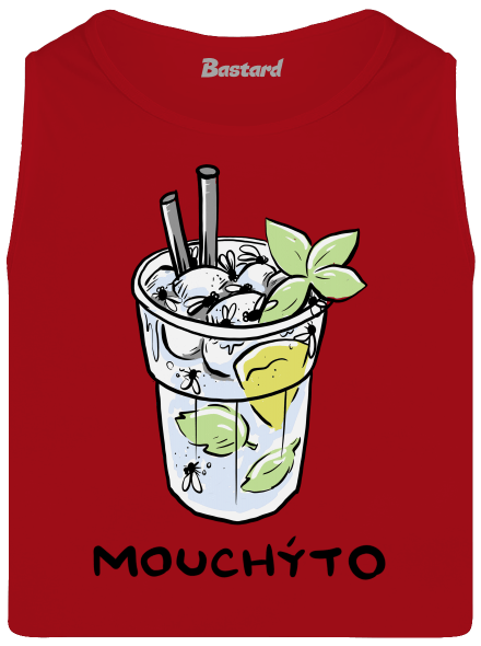 Mouchýto