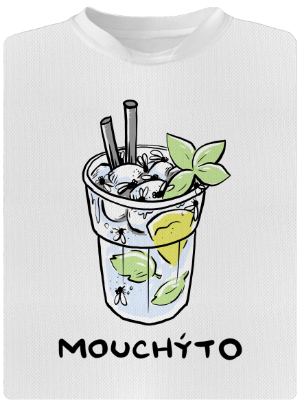 Mouchýto