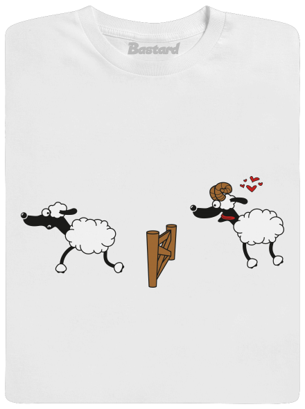 Sheeps in love