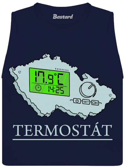 Termostát
