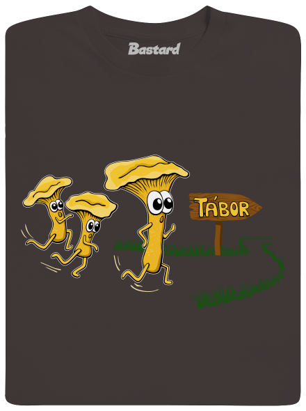 Běží lišky k Táboru