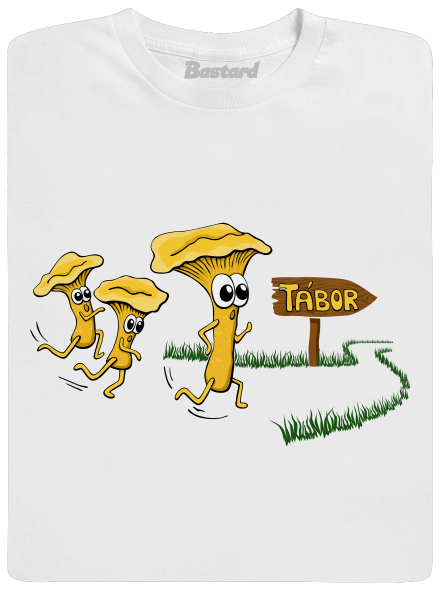 Běží lišky k Táboru