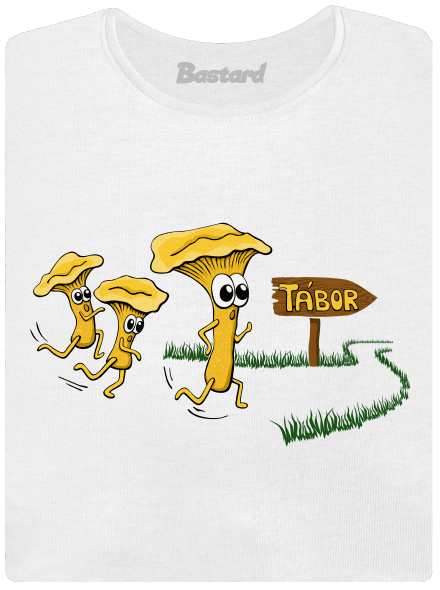 Běží lišky k Táboru