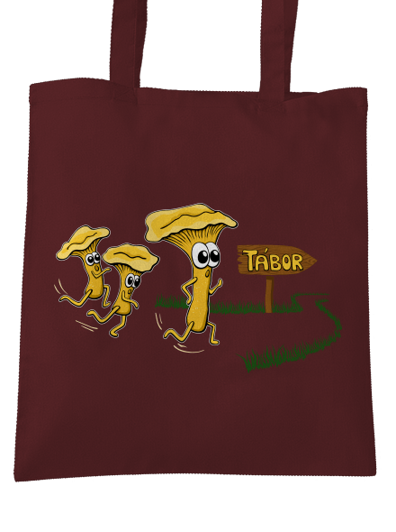 Běží lišky k Táboru