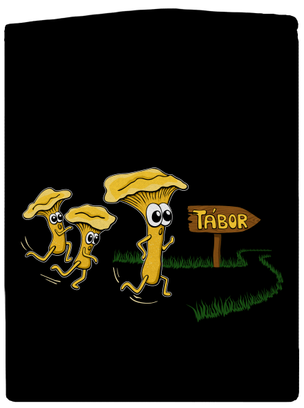 Běží lišky k Táboru