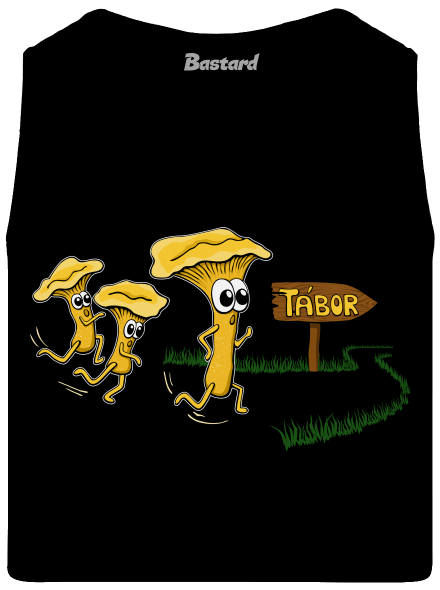 Běží lišky k Táboru