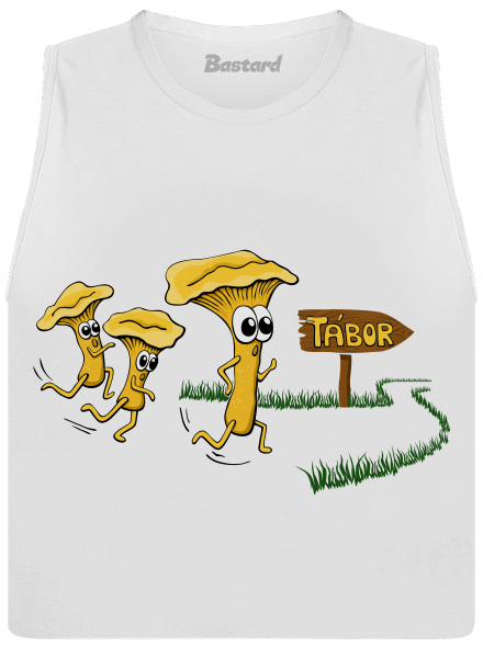 Běží lišky k Táboru