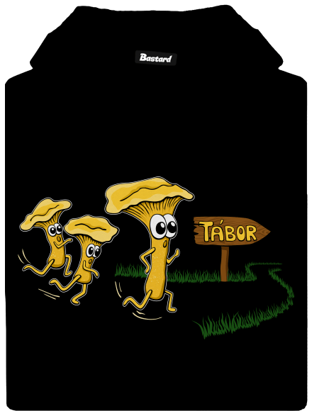 Běží lišky k Táboru