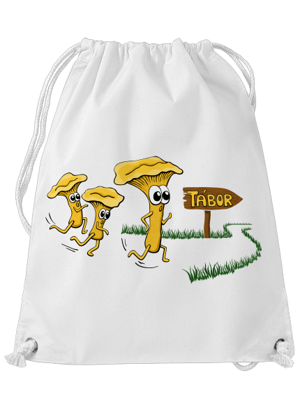 Běží lišky k Táboru