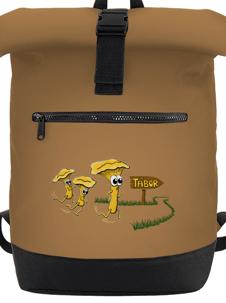 Běží lišky k Táboru