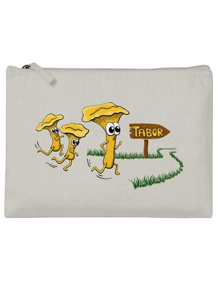 Běží lišky k Táboru