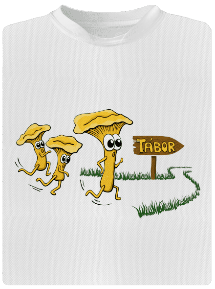 Běží lišky k Táboru