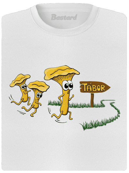 Běží lišky k Táboru