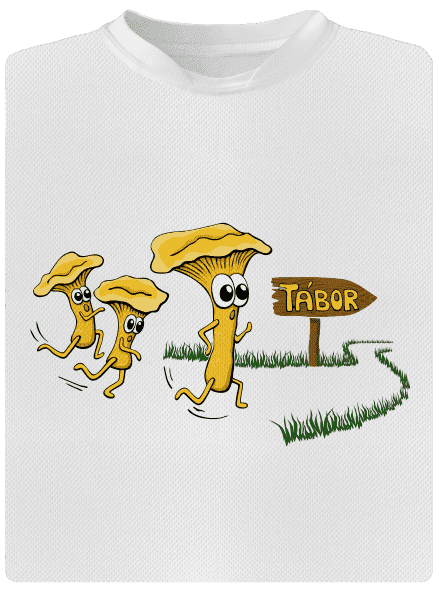 Běží lišky k Táboru