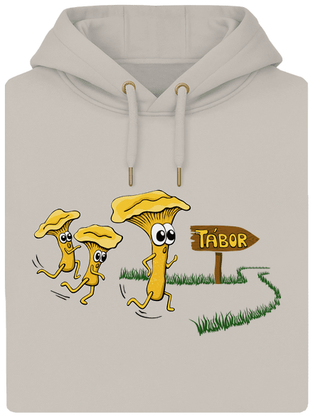 Běží lišky k Táboru