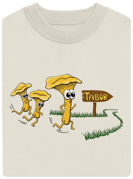 Běží lišky k Táboru