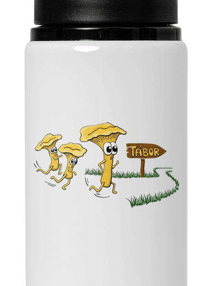 Běží lišky k Táboru