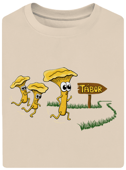 Běží lišky k Táboru