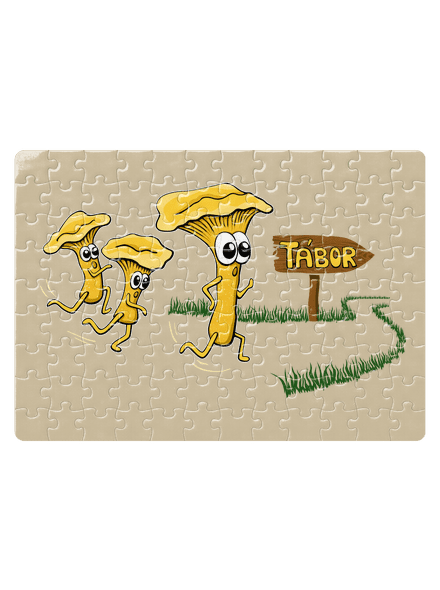 Běží lišky k Táboru