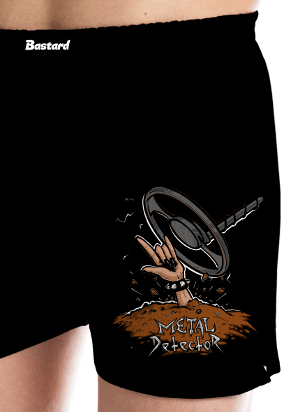 Metal detector