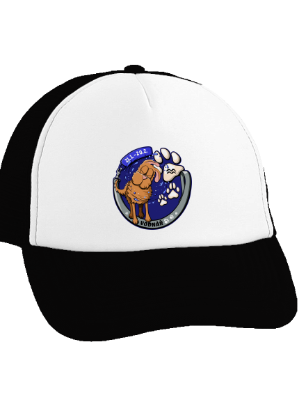 Psí horoskop: Vodnář