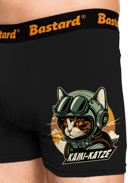 Kami-Katze