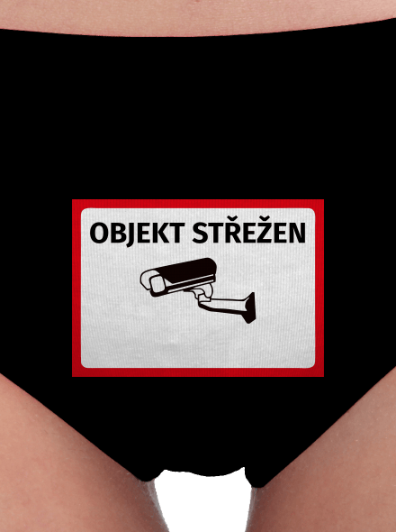 Objekt střežen
