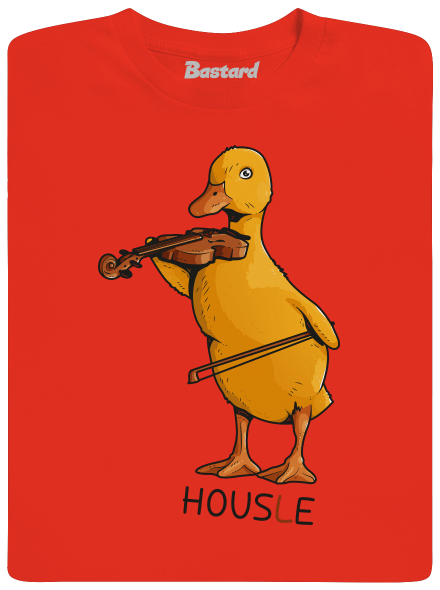 Housle