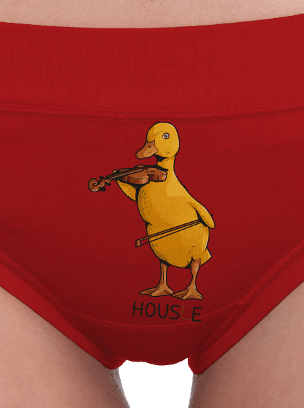 Housle