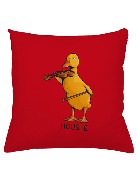 Housle