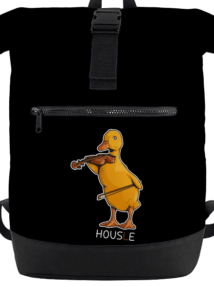 Housle