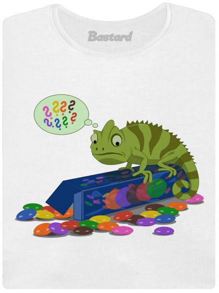Zmatený chameleon