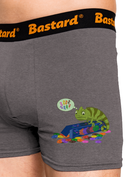 Zmatený chameleon