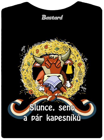 Slunce, seno a pár kapesníků