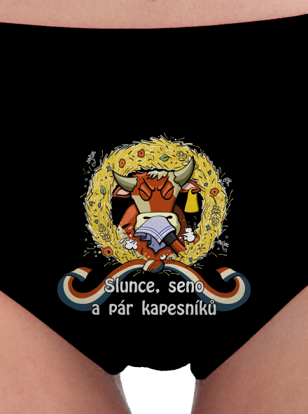 Slunce, seno a pár kapesníků