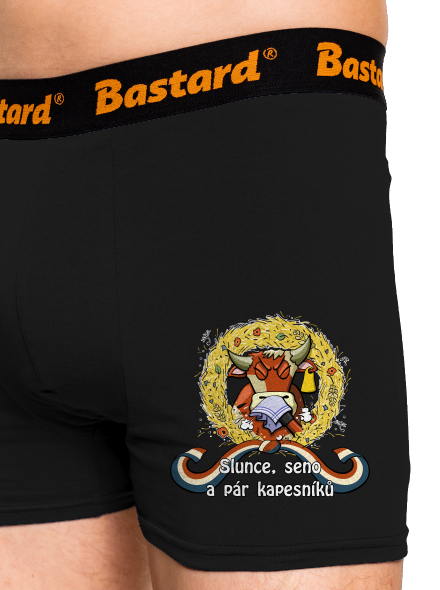 Slunce, seno a pár kapesníků