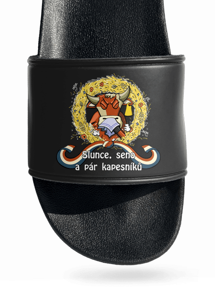 Slunce, seno a pár kapesníků