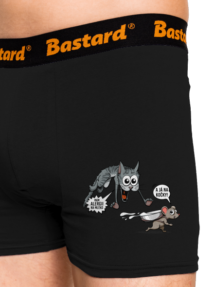 Alergická kočka a myš