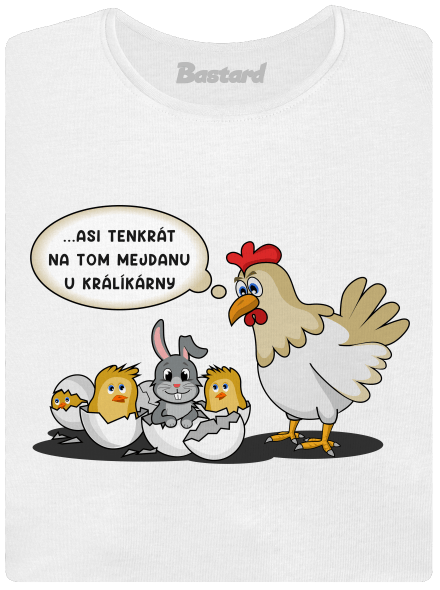 Mejdan u králíkárny