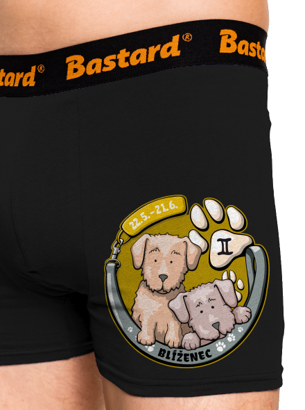 Psí horoskop: Blíženci