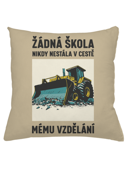 Žádná škola