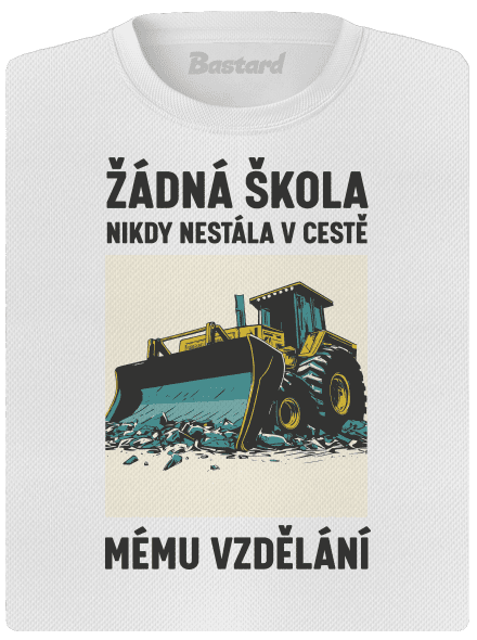 Žádná škola