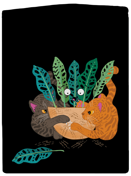 Škrábancový souboj