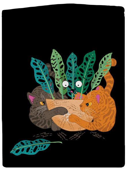 Škrábancový souboj