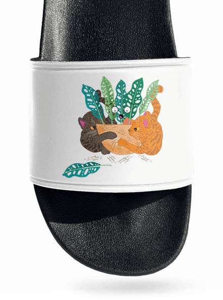 Škrábancový souboj